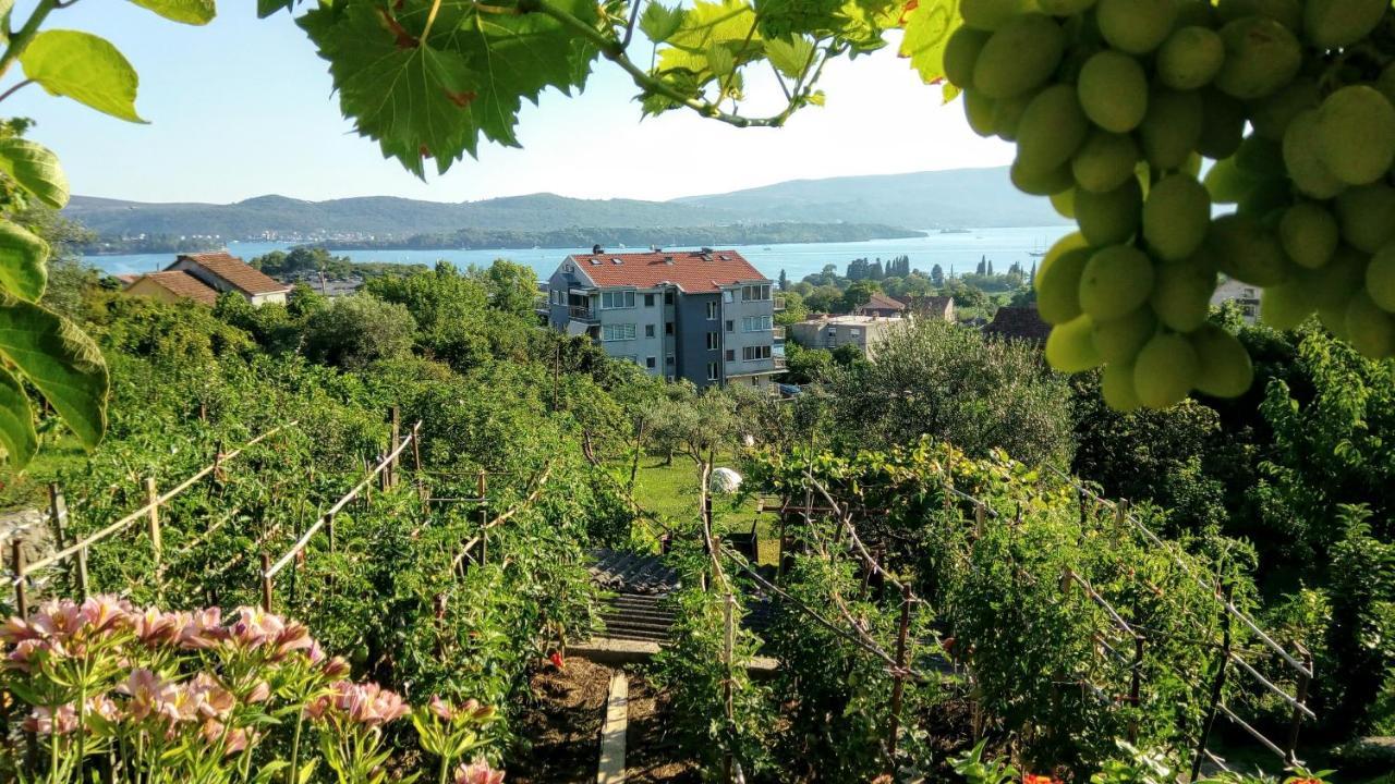 Apartmani Bosco Tivat Exterior foto